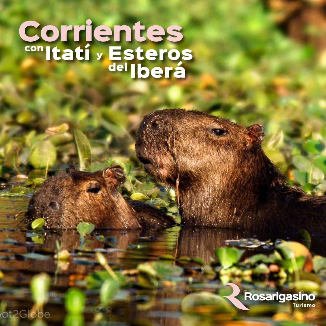 corrientes-con-itati-y-esteros-del-ibera-temporada-2025-197